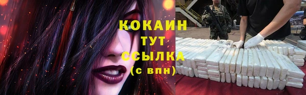 СК Навашино