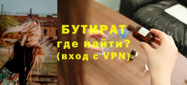 шишки Надым