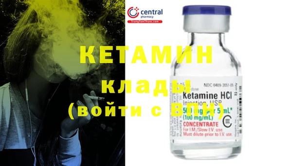 шишки Надым