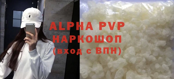 шишки Надым