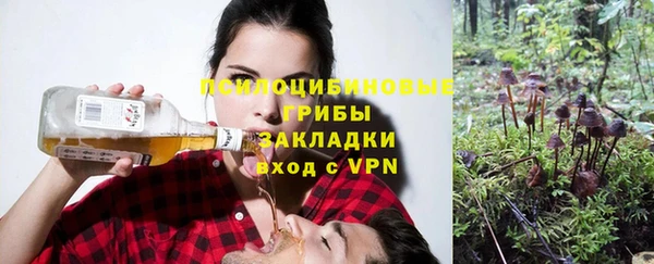 амф Нефтекумск
