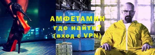 шишки Надым