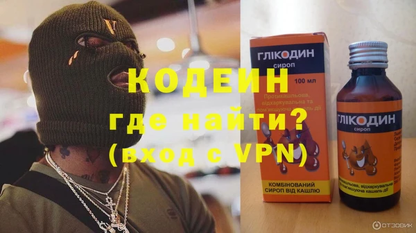 шишки Надым