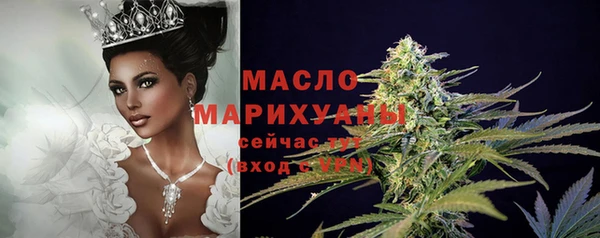 шишки Надым