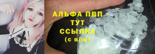 шишки Надым